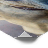 Brindle Pit Bull Puppy van Shirley Taylor Poster (Hoek)