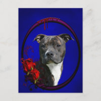 Brindle pitbull met rozen