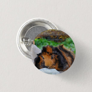 Brindle, Rosette Guinee, die in de openlucht rondl Ronde Button 3,2 Cm