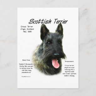 Brindle Schotse Terrier Geschiedenis Briefkaart