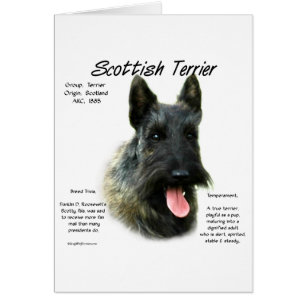 Brindle Scottish Terrier History