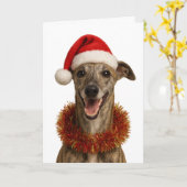 Brindle whippet in a Santa hat Christmas card Kaart (Gele Bloem)
