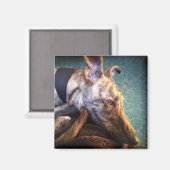 Brindled Lurcher Greyhound Magneet (Voorkant / Achterkant)