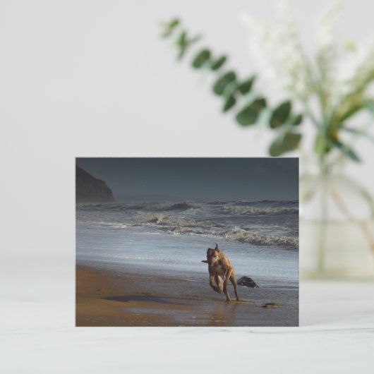 Brindled Lurcher Greyhound op Beach Briefkaart (Staand voorkant)