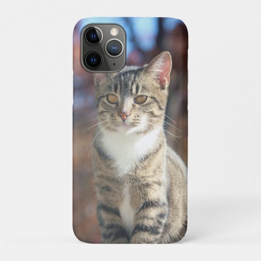 Brine Case-Mate iPhone Case (Achterkant)