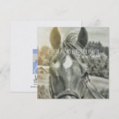 BRISE D'ÉTÉ carte 5,25 x 5,25 (Devant / Derrière)