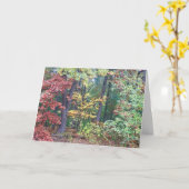 Brister's Hill, Concord MA Kaart (Gele Bloem)