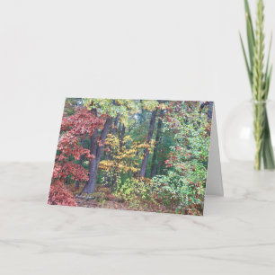 Brister's Hill, Concord MA Kaart