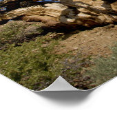 Bristlecone in het Ancient Bristlecone Forest, Poster (Hoek)