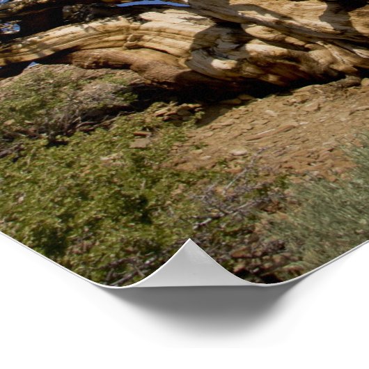 Bristlecone in het Ancient Bristlecone Forest, Poster (Hoek)