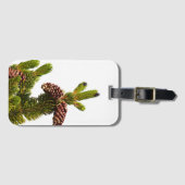 Bristlecone Pine Bagagelabel (Voorkant (horizontaal))