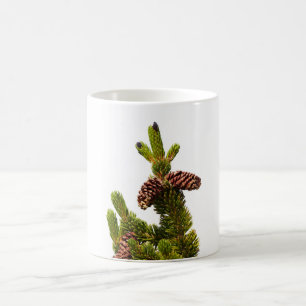 Bristlecone Pine Koffiemok