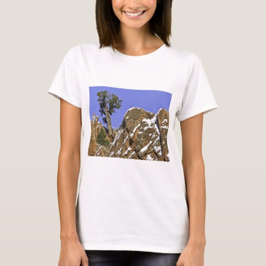 Bristlecone Pine T-shirt (Voorkant)