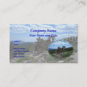 Bristlecone Pine Tree Visitekaartje