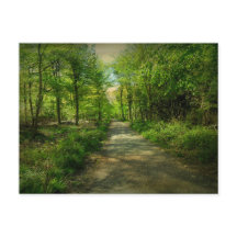 Bristol Avon Forest in de lente.