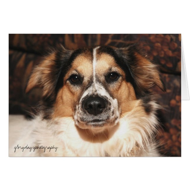 bristol, glorydayfotografie (Voorkant Horizontaal)