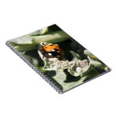 British 7 Spot Ladybug Carnet (Côté Droit)
