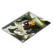 British 7 Spot Ladybug Carnet (Côté gauche)