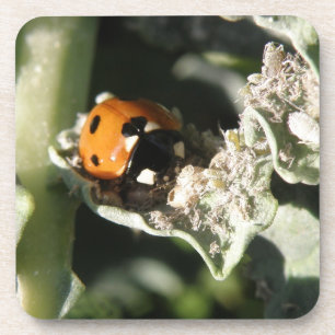 British 7 Spot Ladybug Cork Dessous de verre