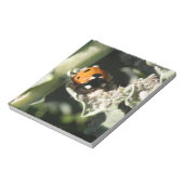 British 7 Spot Ladybug Notepad Notitieblok (Gedraaid)