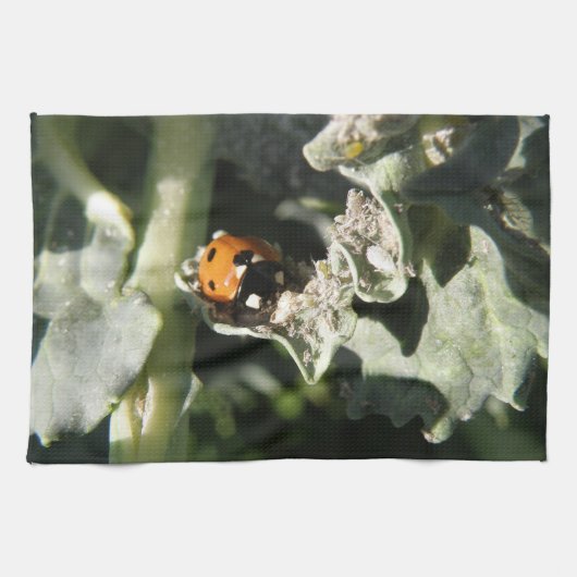 British 7 Spot Ladybug Serviette de cuisine (Horizontal)