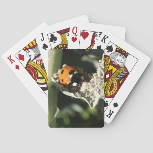 British 7 Spot Ladybug-spelkaarten Pokerkaarten (Achterkant)