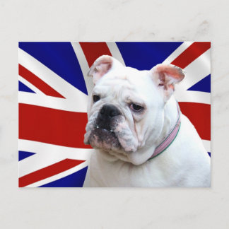 British Bulldog Briefkaart