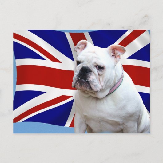British Bulldog Briefkaart (Voorkant)
