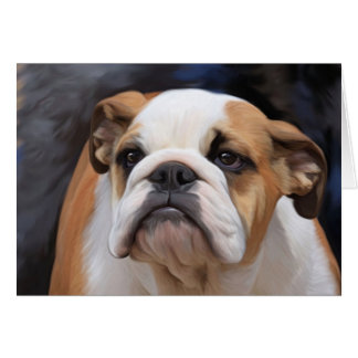 British Bulldog puppy