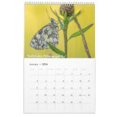 British Butterflies Agenda 2020 Kalender (Jan 2026)