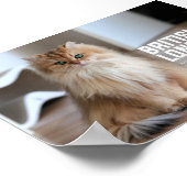 British Longhair Cat Breed Poster (Hoek)