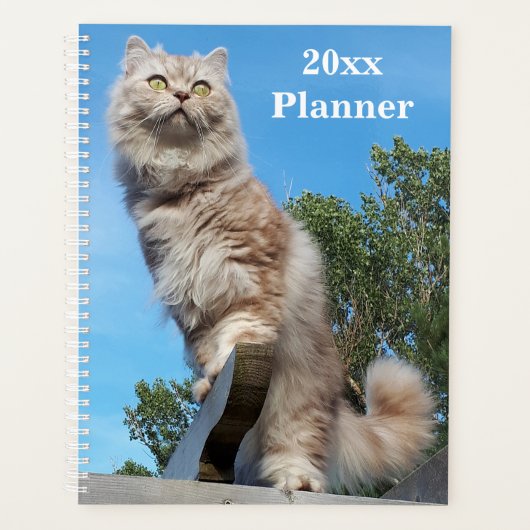 British Longhair Cat Yarly Planner (Voorkant)
