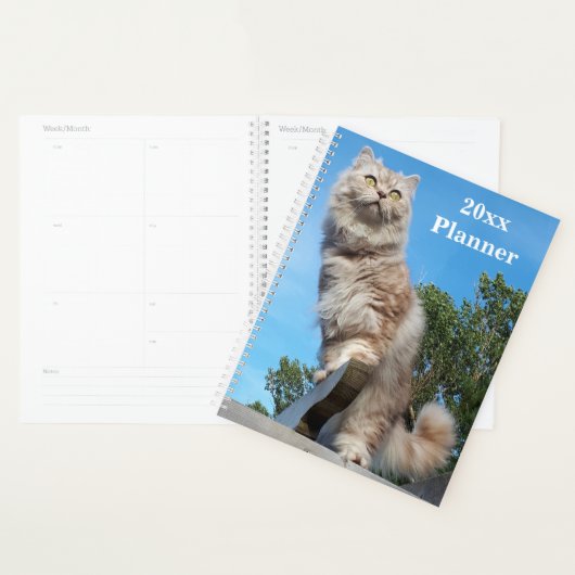 British Longhair Cat Yearly Planner (Devant avec enveloppe)