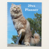 British Longhair Cat Yearly Planner (Devant)