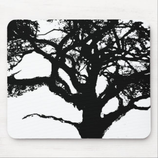 British Oak in St. James' Park Muismat