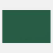 British Racing Groene Effen Kleur Inpakpapier Vel (Voorkant 2)