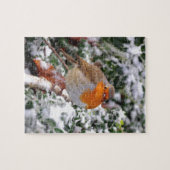 British robin redborst legpuzzel (Horizontaal)