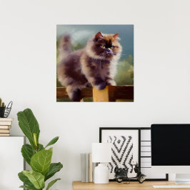 British Semi-longhair Cat Poster