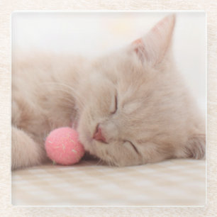 British Shorthair Cat Glazen Onderzetter