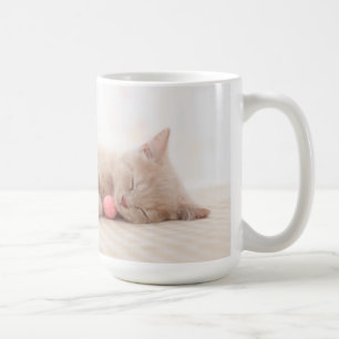 British Shorthair Cat Koffiemok