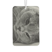 British Shorthair Cat Luchtverfrisser (Achterkant)