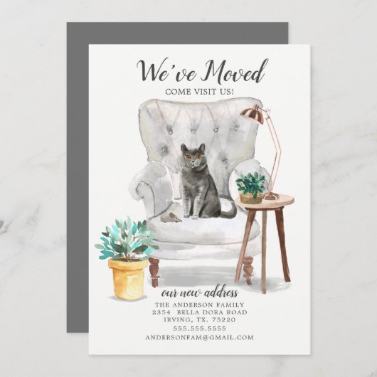 British Shorthair Cat Moving Announement Aankondiging (Voorkant / Achterkant)