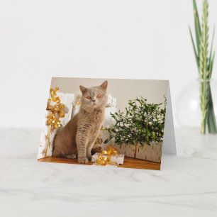 British Shorthair Cat Spint-fect Holiday Season Feestdagen Kaart