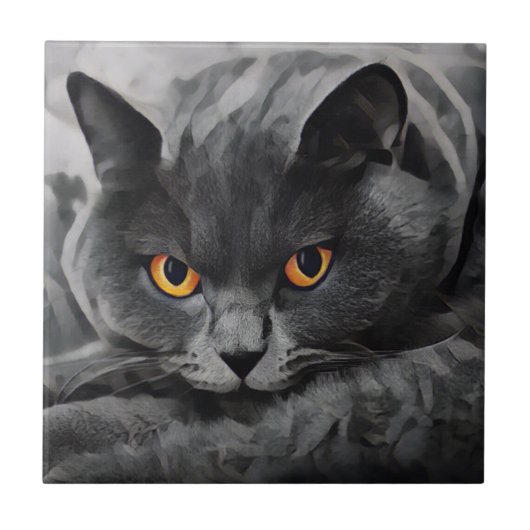 British Shorthair Cat Tegeltje (Voorkant)