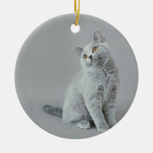 British shorthair kitten keramisch ornament