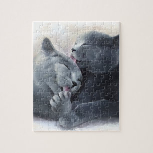 British Shorthair Legpuzzel