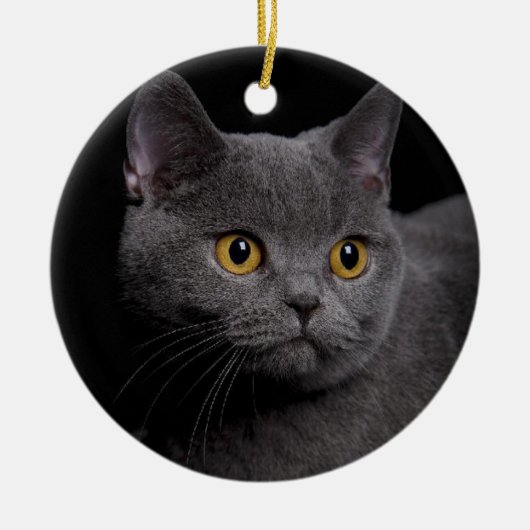 British Shorthair Ornament (Voorkant)
