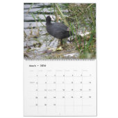British Waterfowl 2015 Calendar Kalender (Mar 2026)