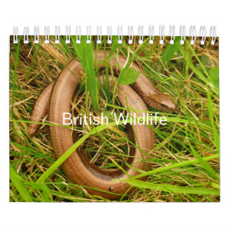 British Wildlife Calendrier