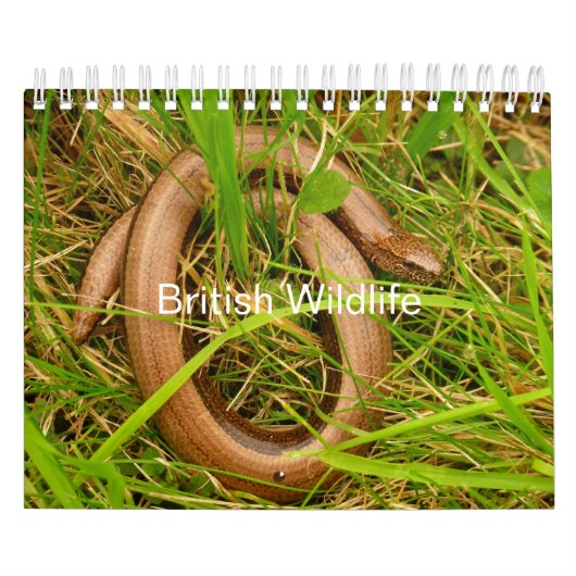British Wildlife Calendrier (Protection)